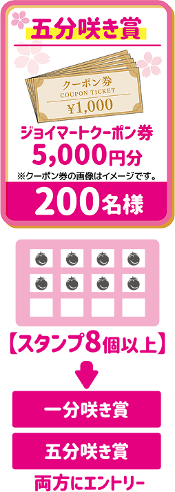 ジョイマークーポン券5000円分