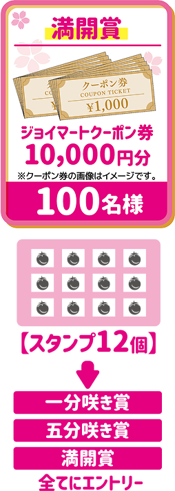 ジョイマークーポン券10000円分